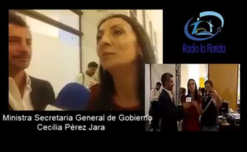 Cecilia Pérez, Ministra secretaria general de gobierno