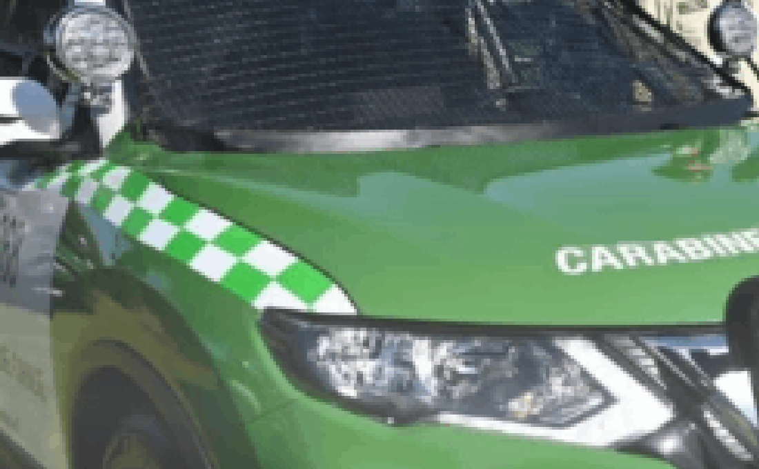 Carabineros detiene a siete personas por armas y drogas en la RM