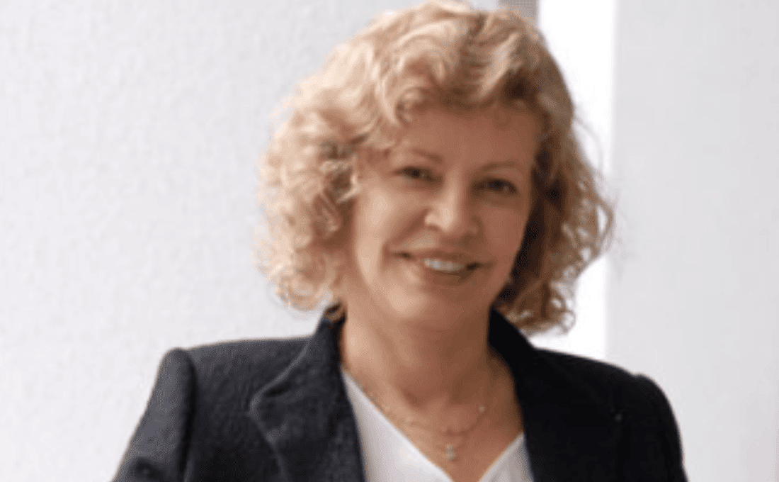 Ministra Parot revela morosidad de $52 mil millones en terrenos fiscales